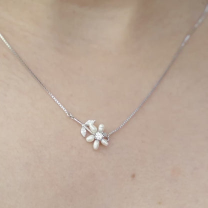 Spring -Bloom